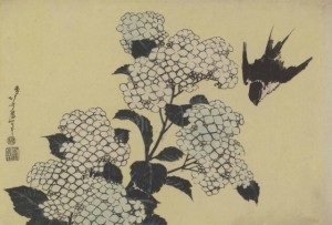HOKUSAI Hydrangea & swallow
